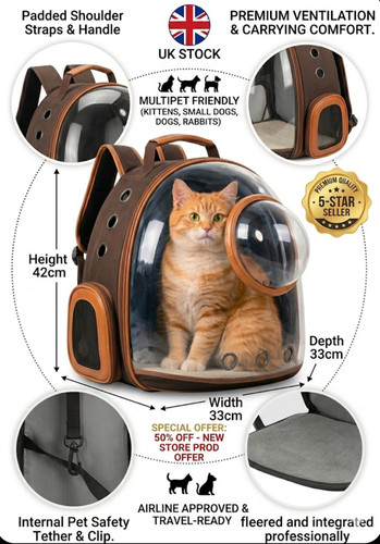 Astronaut window dog - cat, pet
