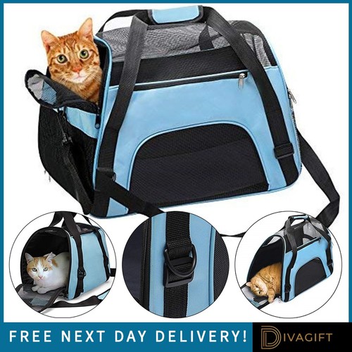 Blue cat carrier - bag, large