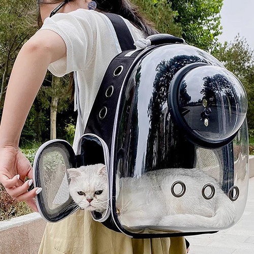 Astronaut bubble window dog - astronaut,