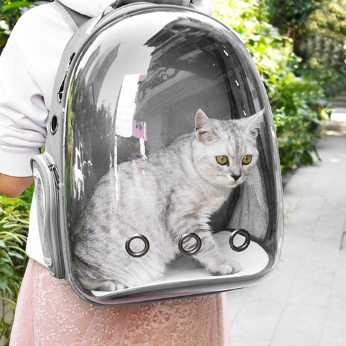 Astronaut dog cat - dog, carrier
