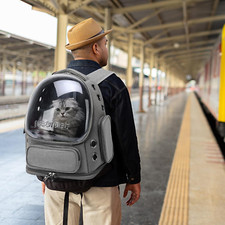 Astronaut Window Dog Cat Pet